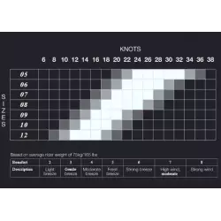 Aile de kitesurf - WS v7 - ELEVEIGHT kites