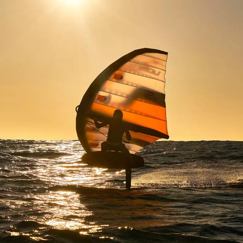 AILE DE WING OZONE FUSION v1 2024