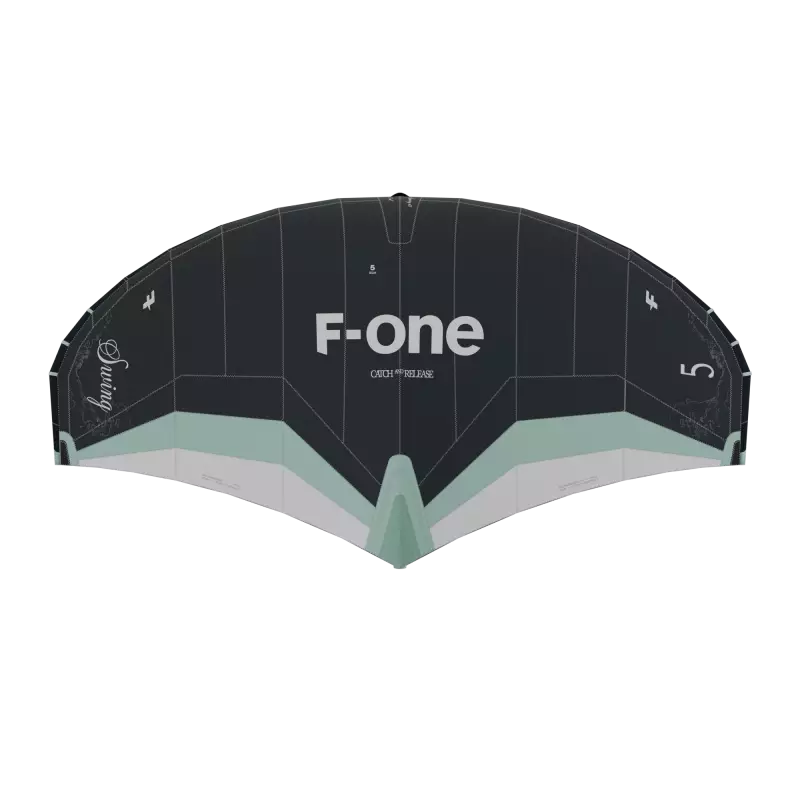 F-ONE SWING V5