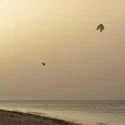 DUOTONE REBEL SLS 2026