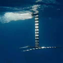 FOIL DRIVE X ARMSTRONG FOIL ASSIST CARBON MAST 2025 – mât foil assist