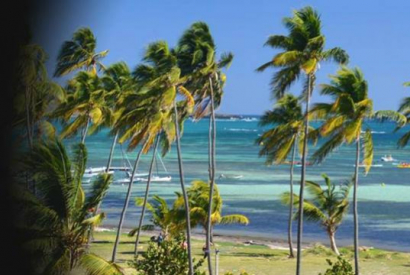 North Dice et Jaime Textreme 2018 : test en Martinique.